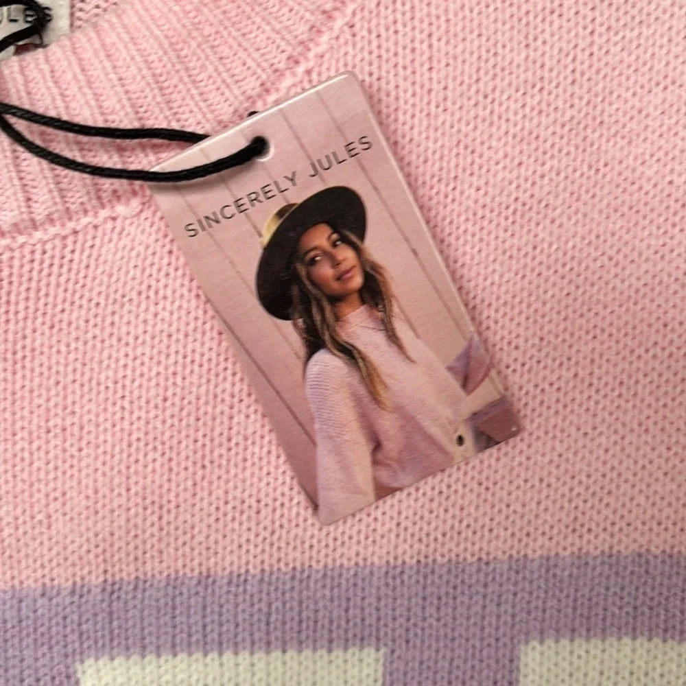 NWT Sincerely Jules Knit Pink Pastel Ski Sweater Crew Neck Oversized Stripes
